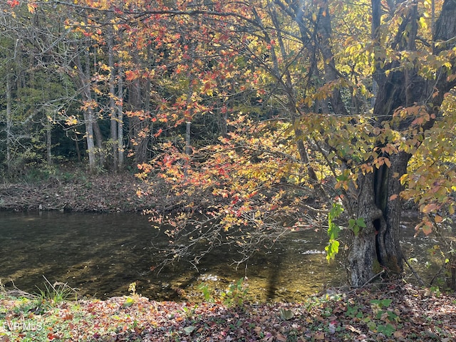 view of local wilderness with a water view