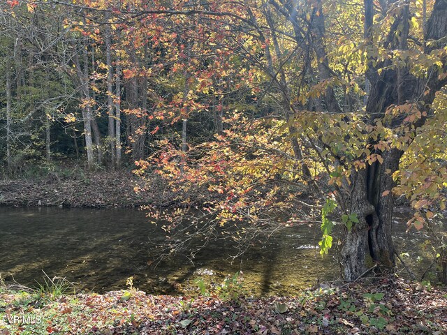 1208 Doe Creek Rd, Butler, TN 37640 - photo 12