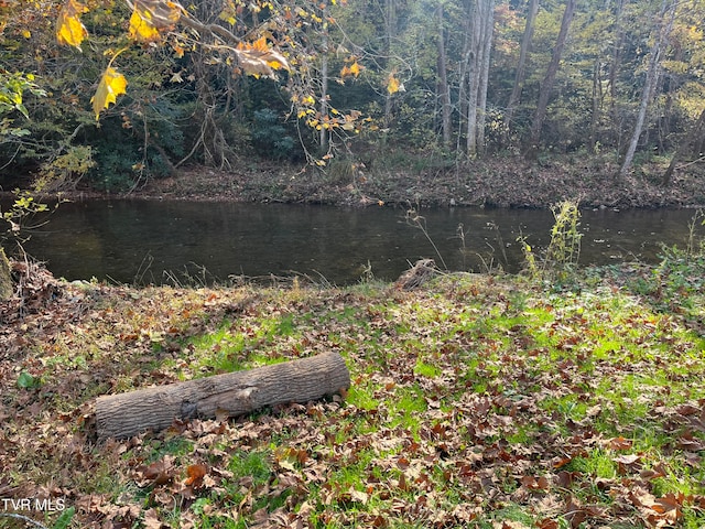 view of nature with a water view