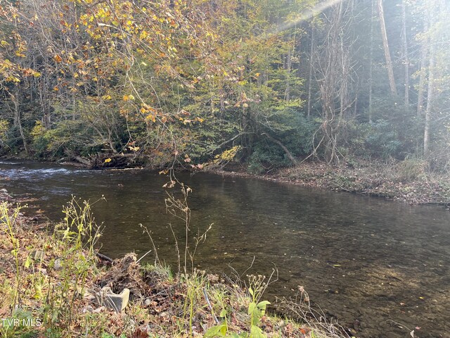 1208 Doe Creek Rd, Butler, TN 37640 - photo 27