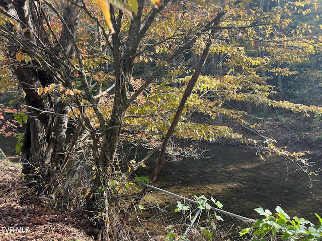 view of landscape featuring a water view