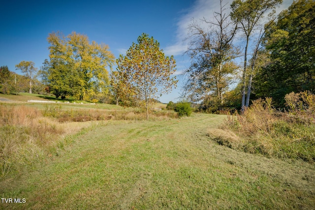 790 Hunting Hill Rd, Piney Flats, TN 37686