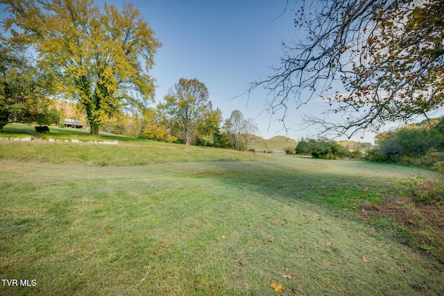 790 Hunting Hill Rd, Piney Flats, TN 37686