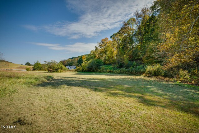 790 Hunting Hill Rd, Piney Flats, TN 37686
