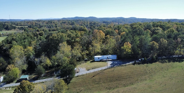 birds eye view of property featuring a mountain view