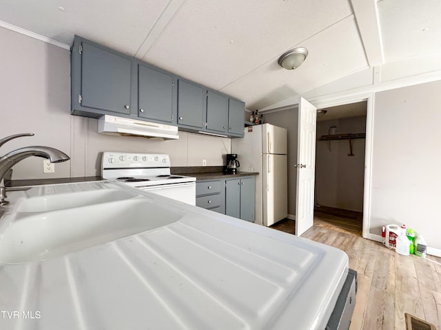 kitchen with sink, light hardwood / wood-style flooring, and white appliances