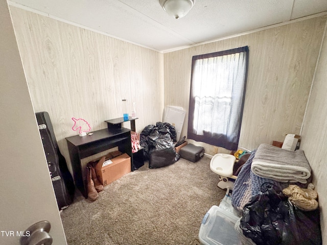 miscellaneous room with carpet flooring