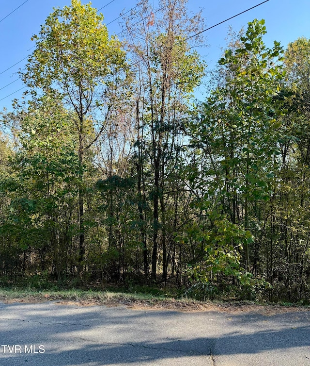 TBD Kincaid St, Kingsport TN, 37660 land for sale