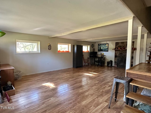 living room featuring hardwood / wood-style flooring and a fireplace