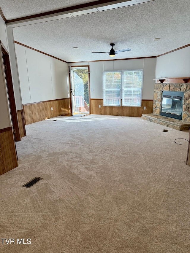 4527 Dorchester Rd, Norton, VA 24273 - unfurnished living room featuring wainscoting, wooden walls, carpet floors, a textured ceiling, and a stone fireplace