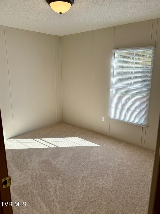 carpeted spare room with a textured ceiling