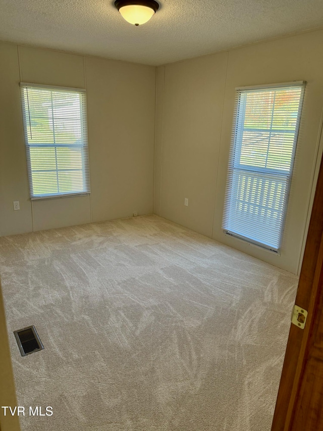 empty room featuring a textured ceiling, plenty of natural light, and light colored carpet