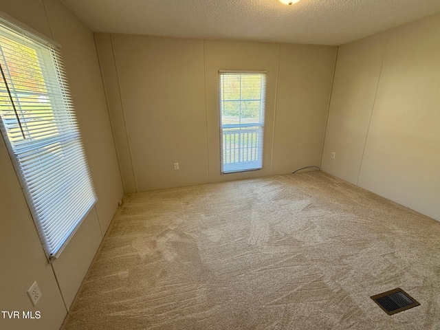 empty room with light carpet and a textured ceiling