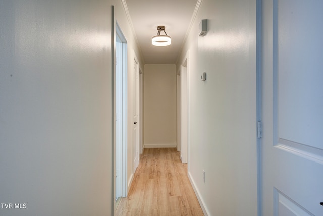 corridor featuring light hardwood / wood-style floors