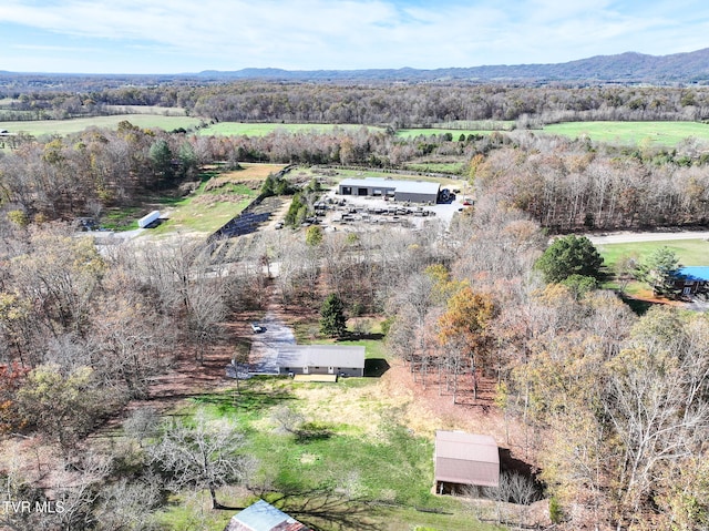 aerial view with a mountain view and a rural view