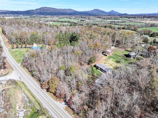 bird's eye view with a mountain view