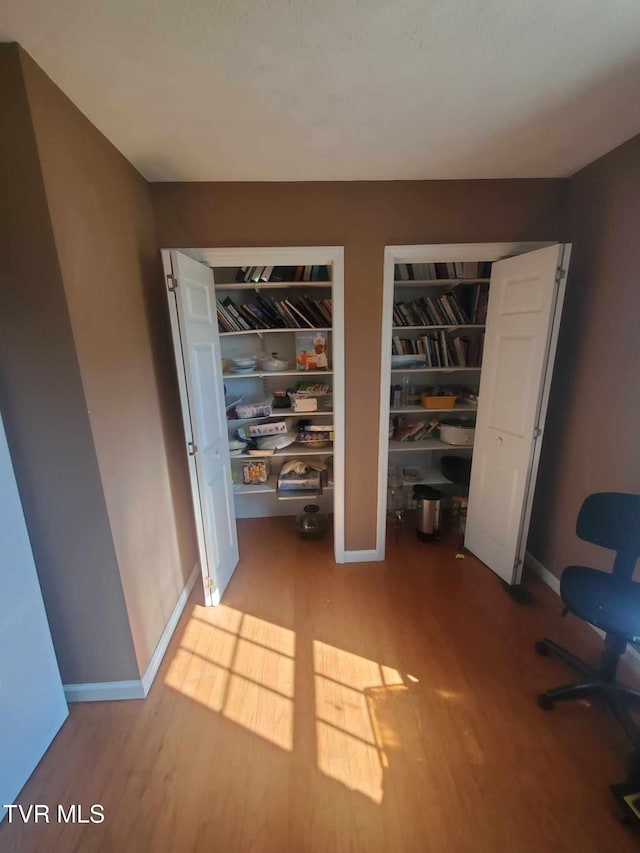 interior space with light wood-type flooring