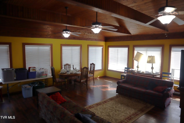 living room with vaulted ceiling with beams, dark wood-type flooring, plenty of natural light, and ceiling fan