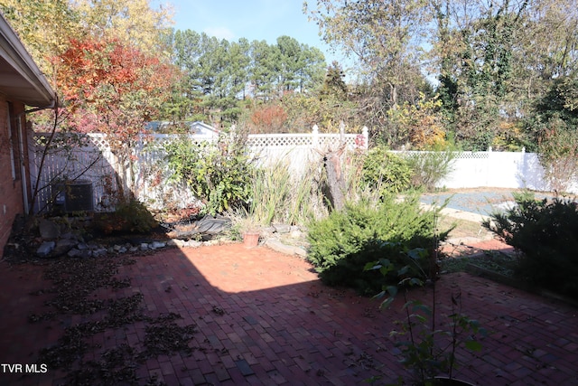 view of yard featuring a patio area