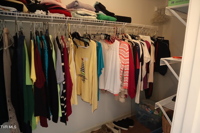 view of spacious closet