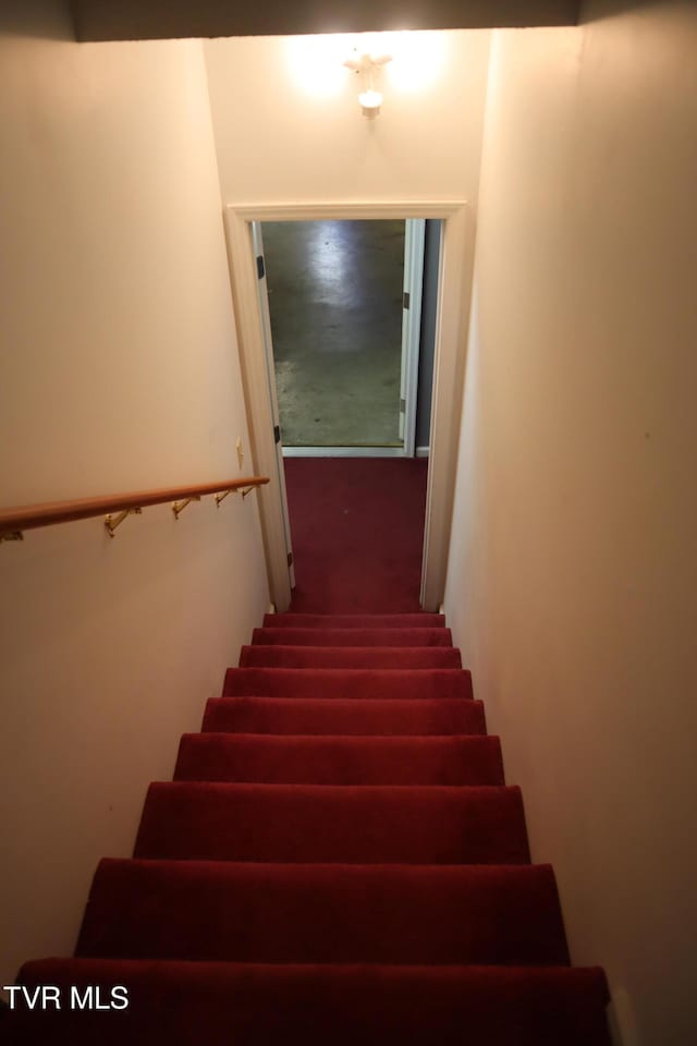 stairway featuring carpet floors