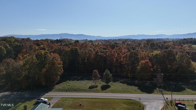 TR17 Newport Hwy, Greeneville, TN 37743 - photo 37