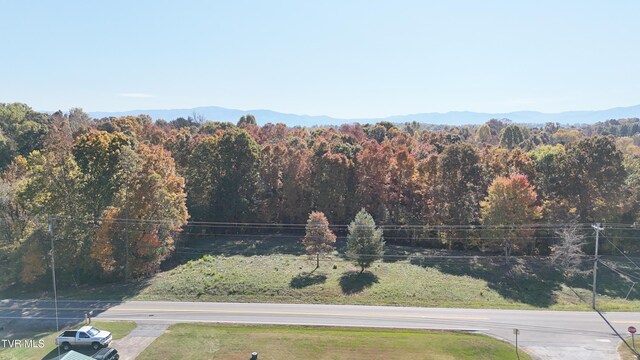 TR17 Newport Hwy, Greeneville, TN 37743 - photo 38