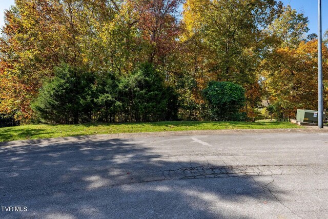 109 Lookout Ct, Blountville, TN 37617 - photo 6