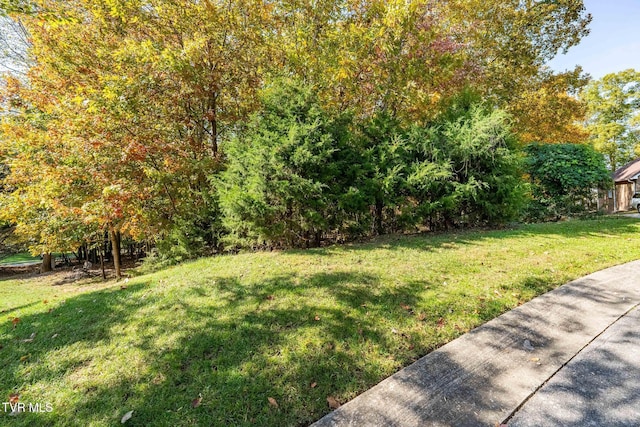 109 Lookout Ct, Blountville, TN 37617 - photo 7