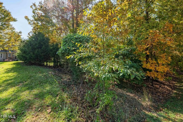 109 Lookout Ct, Blountville, TN 37617 - photo 8
