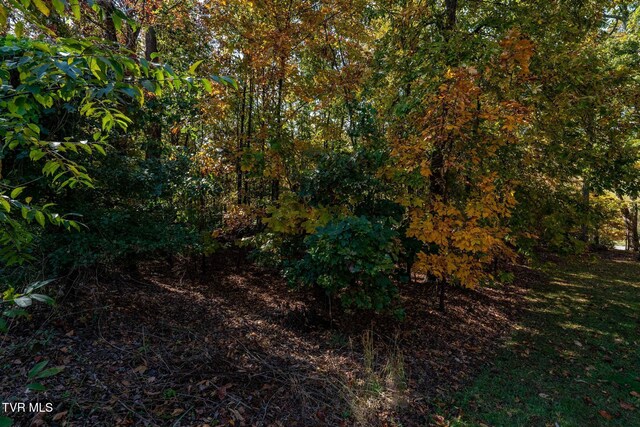 109 Lookout Ct, Blountville, TN 37617 - photo 9