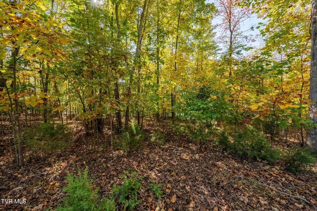 109 Lookout Ct, Blountville, TN 37617 - photo 12