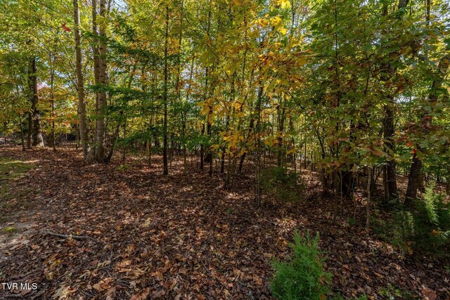 109 Lookout Ct, Blountville, TN 37617 - photo 13