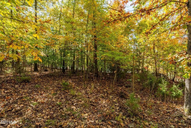 109 Lookout Ct, Blountville, TN 37617 - photo 14