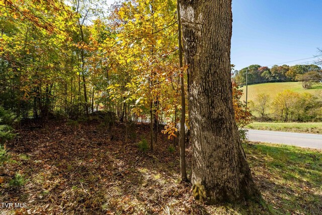 109 Lookout Ct, Blountville, TN 37617 - photo 15