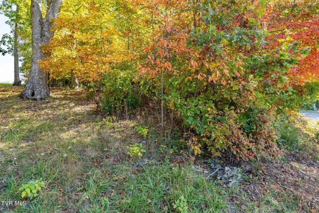 109 Lookout Ct, Blountville, TN 37617 - photo 16