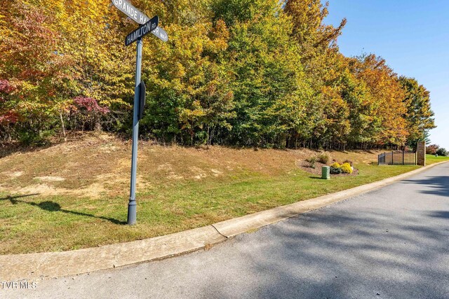109 Lookout Ct, Blountville, TN 37617 - photo 17