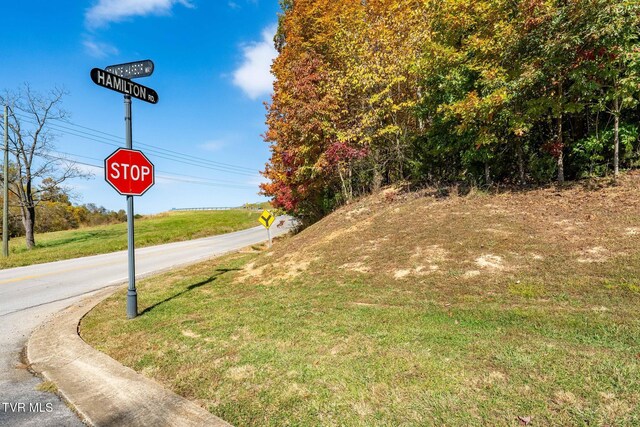 109 Lookout Ct, Blountville, TN 37617 - photo 18