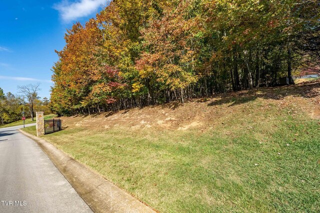 109 Lookout Ct, Blountville, TN 37617 - photo 19