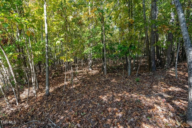 109 Lookout Ct, Blountville, TN 37617 - photo 20