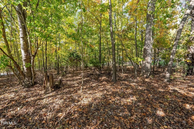 109 Lookout Ct, Blountville, TN 37617 - photo 21