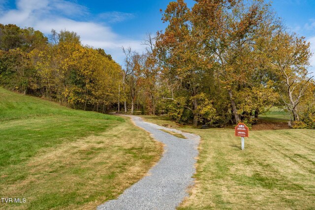 109 Lookout Ct, Blountville, TN 37617 - photo 5