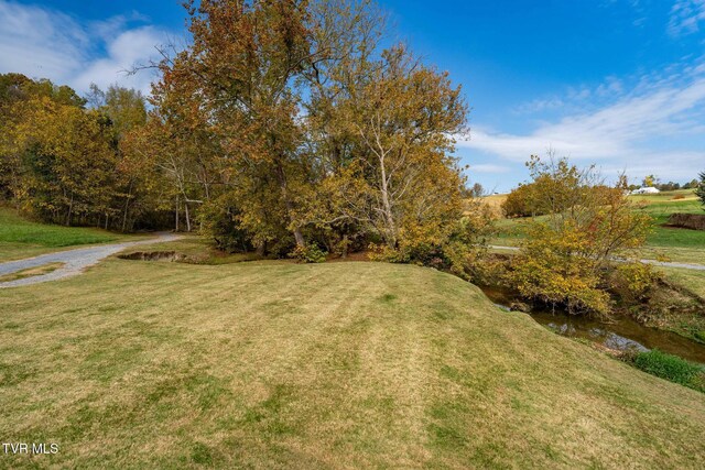109 Lookout Ct, Blountville, TN 37617 - photo 44