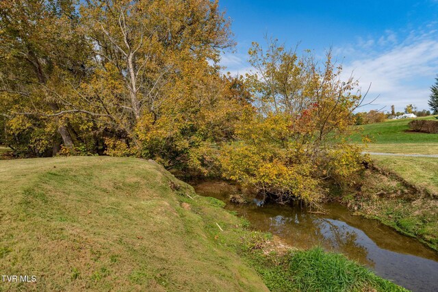 109 Lookout Ct, Blountville, TN 37617 - photo 46