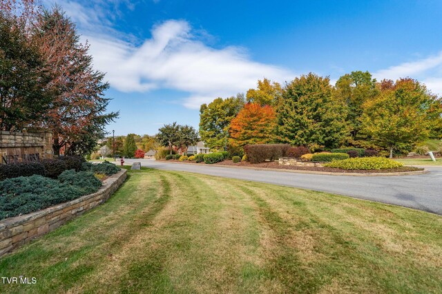 109 Lookout Ct, Blountville, TN 37617 - photo 47