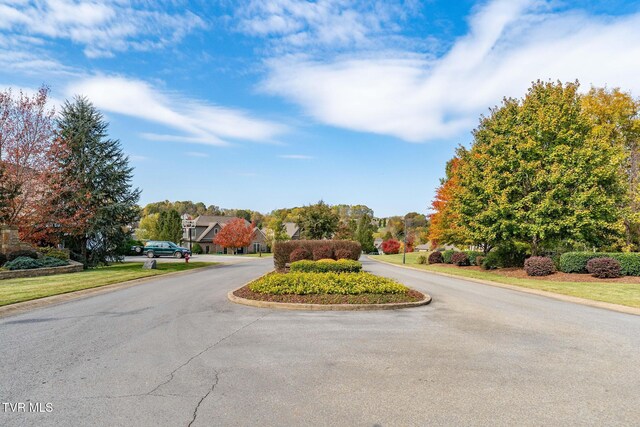 109 Lookout Ct, Blountville, TN 37617 - photo 48