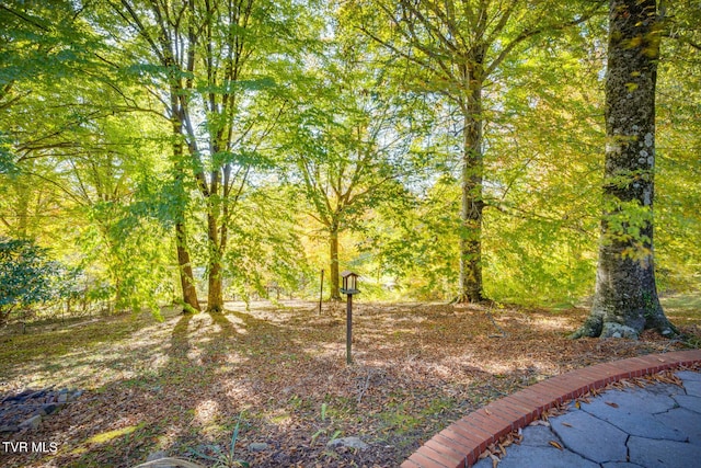 904 Echo Ln, Johnson City, TN 37604 - photo 31
