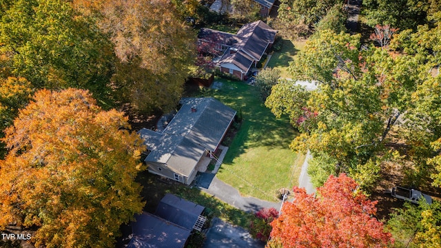 bird's eye view