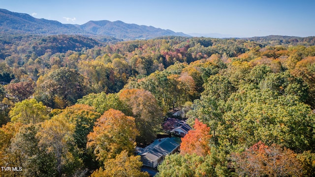 birds eye view of property featuring a mountain view