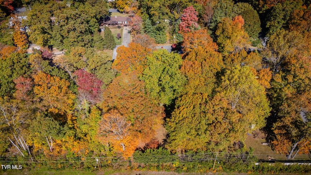 aerial view